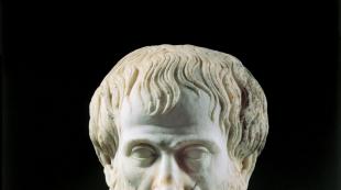 რა გავლენა მოახდინა არისტოტელემ მეცნიერებაზე?არისტოტელეს კვლევა ბიოლოგიაში