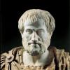 Kakšen vpliv je imel Aristotel na znanost Aristotelovo raziskovanje biologije