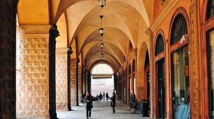 ბოლონიის უნივერსიტეტი შუა საუკუნეებში მოთხოვნები და პროცედურა იტალიის უნივერსიტეტებში მიღებისთვის