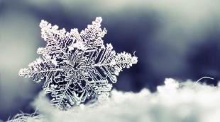 Snow Theory: No two snowflakes are the same