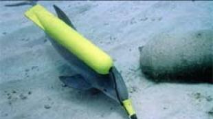 Luptă cu delfinii din Crimeea Delfinii demolări în timpul celui de-al doilea război mondial