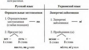 Neigiami įvardžiai rusų kalba