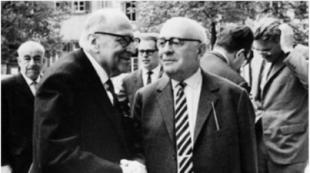 Critical theory of society of the Frankfurt school Critical sociology