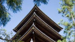 Japonske vrste ročnih del Kako se imenuje japonska dekorativna umetnost