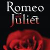 Šekspyro „Romeo ir Džuljetos“ analizė